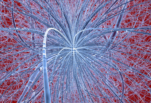 1174213 (a): :2939x2016